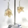 Women Alembika Accessories<Flower & Crystal Earrings, Nude