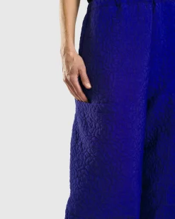 Women Alembika Pants & Skirts<Jacquard Tapestry Pants, Royal